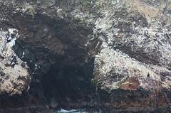 1232-Isole Ballestas,19 luglio 2013